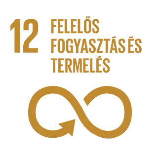 12. ENSZ fenntartható fejlődési cél