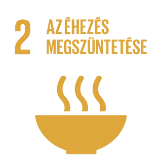 2. ENSZ fenntartható fejlődési cél