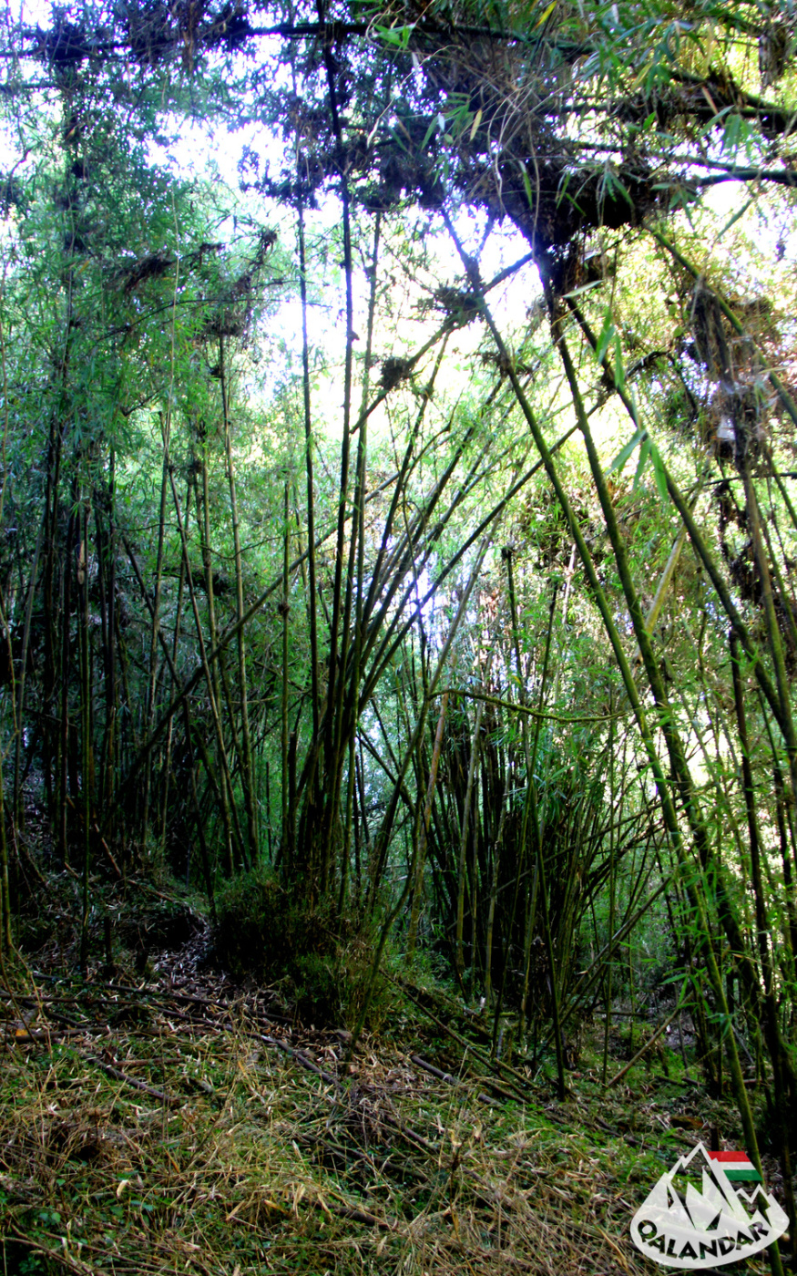 12. túranap 1. képe