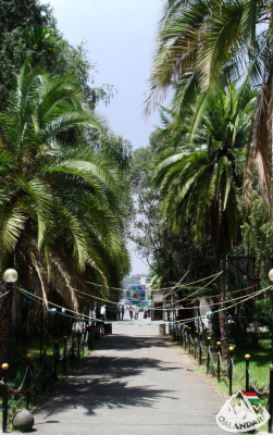 14. túranap 4. képe