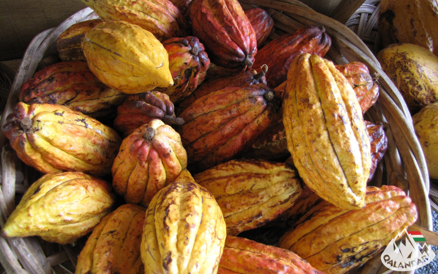 11. túranap 1. képe