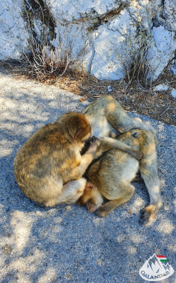 1. túranap 4. képe