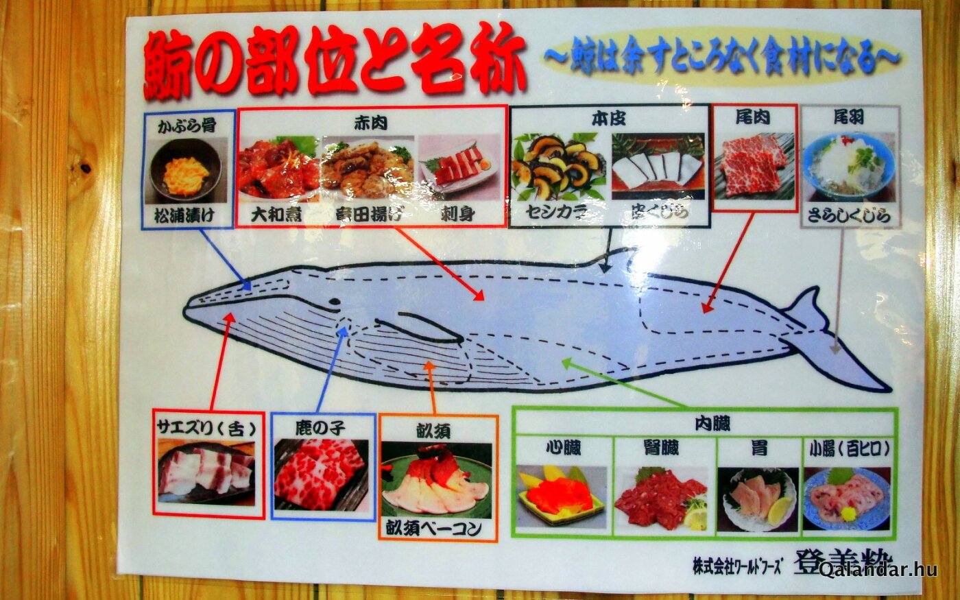3. túranap 1. képe