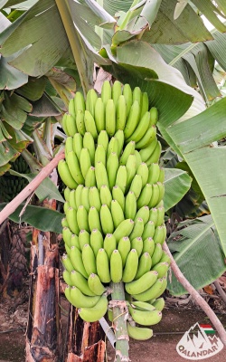 8. túranap 4. képe