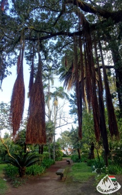 4. túranap 3. képe