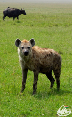 5. túranap 2. képe