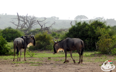 8. túranap 2. képe