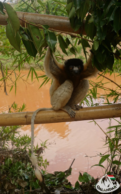 1. túranap 3. képe