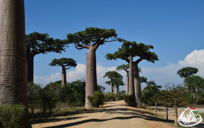 10. túranap 3. képe
