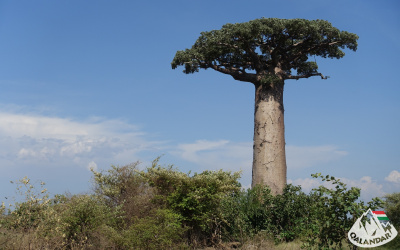 12. túranap 2. képe