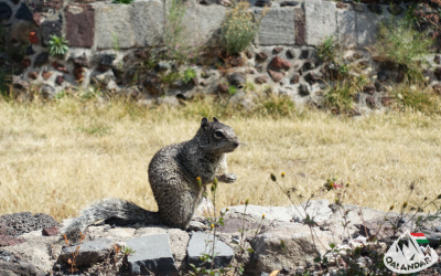 3. túranap 2. képe