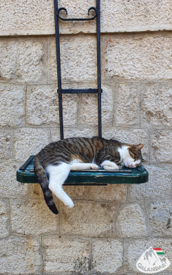 4. túranap 3. képe