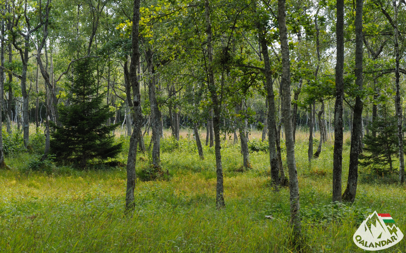 8. túranap 1. képe