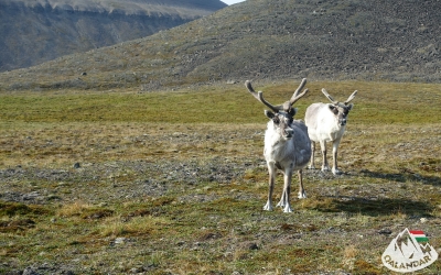 10. túranap 2. képe