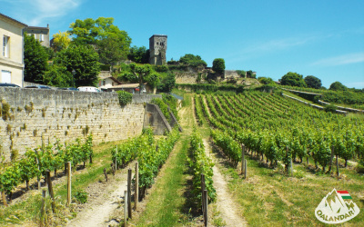 3. túranap 4. képe