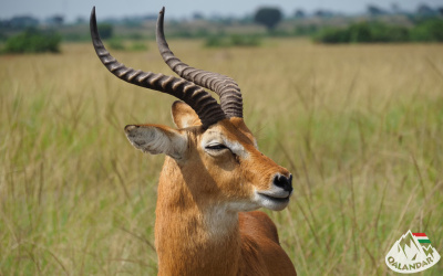 3. túranap 3. képe
