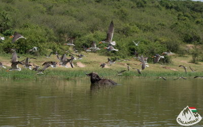 7. túranap 2. képe