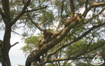 8. túranap 3. képe