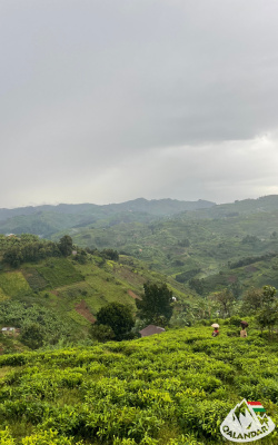 8. túranap 4. képe