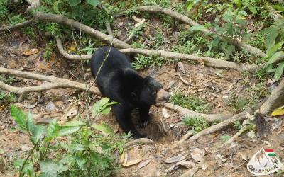 6. túranap 3. képe