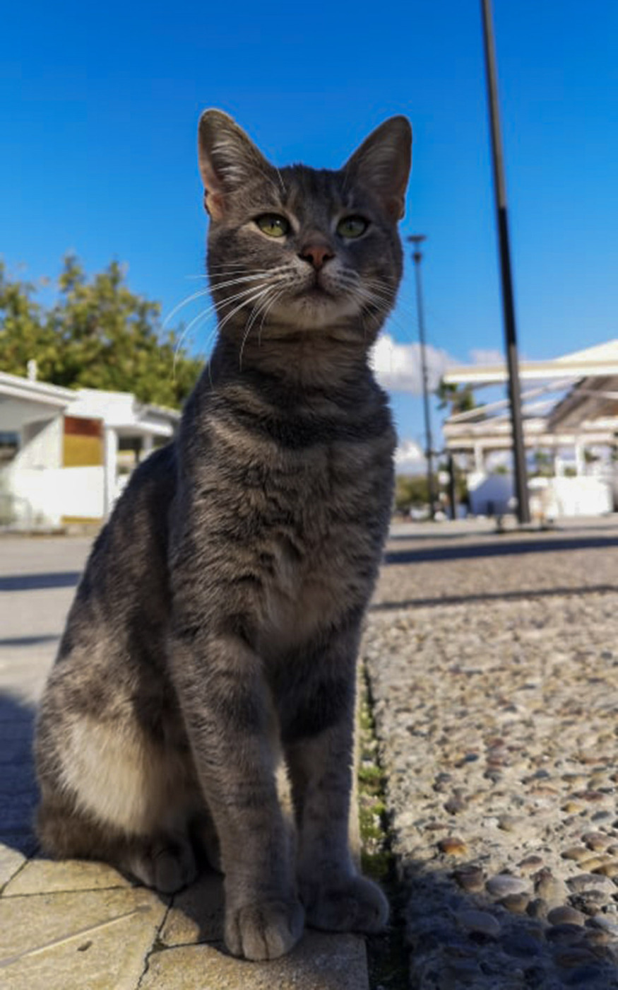 2. túranap 1. képe
