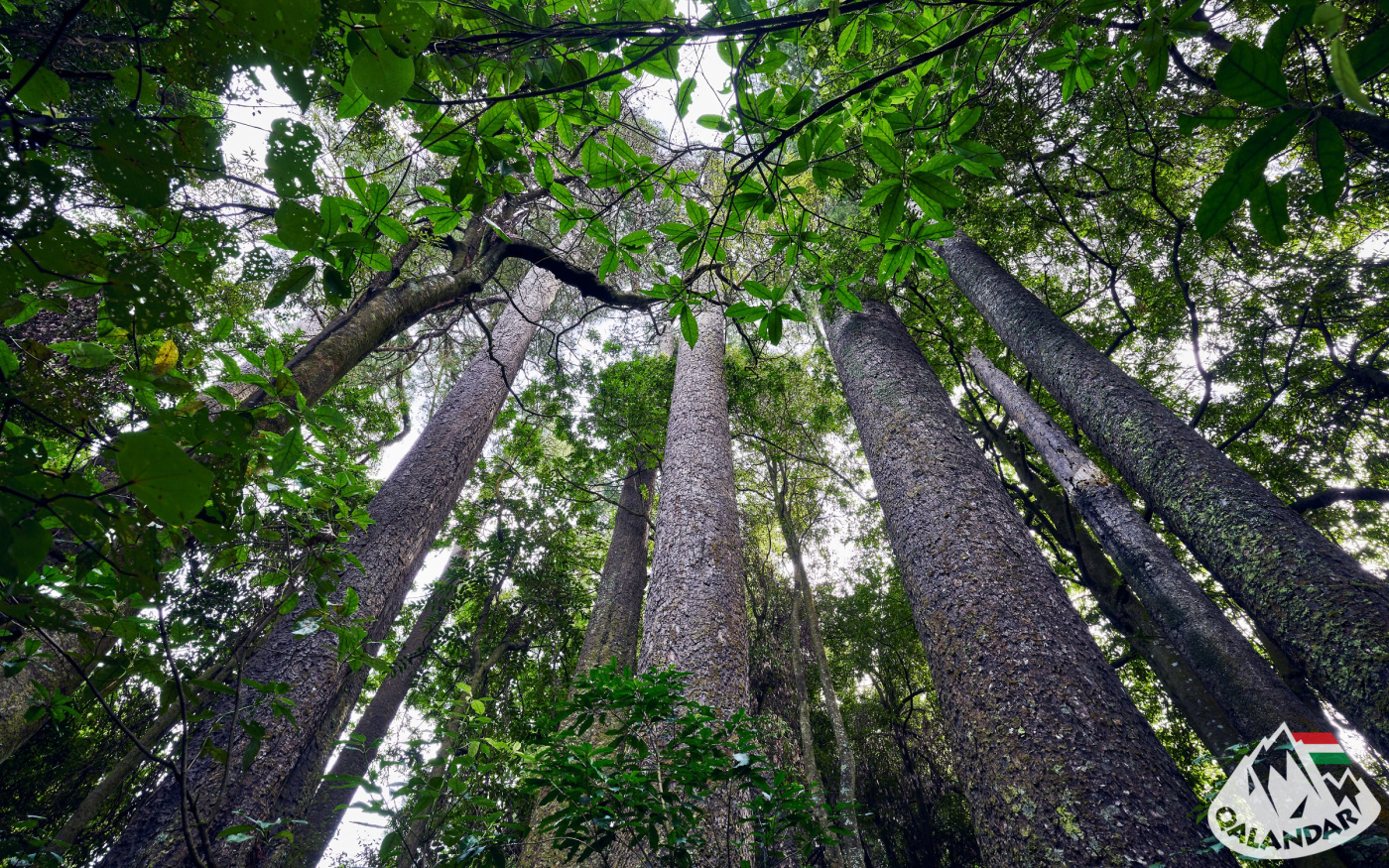 6. túranap 1. képe
