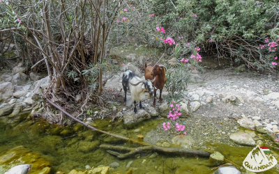 4. túranap 2. képe